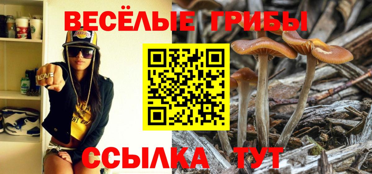 Галлюциногенные грибы прущие грибы Назрань